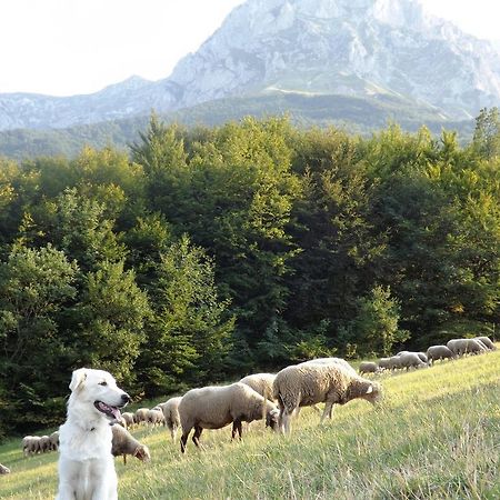 Отель Agriturismo Lu Formaggio Castelli Экстерьер фото